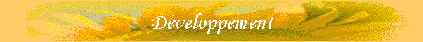 Dveloppement