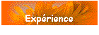 Exprience