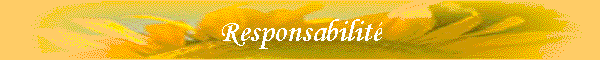 Responsabilit